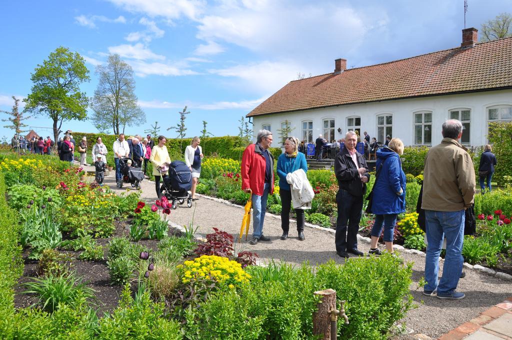 Svabesholms Kungsgards B&B Och Pensionat Stenshuvud Kivik Exterior photo
